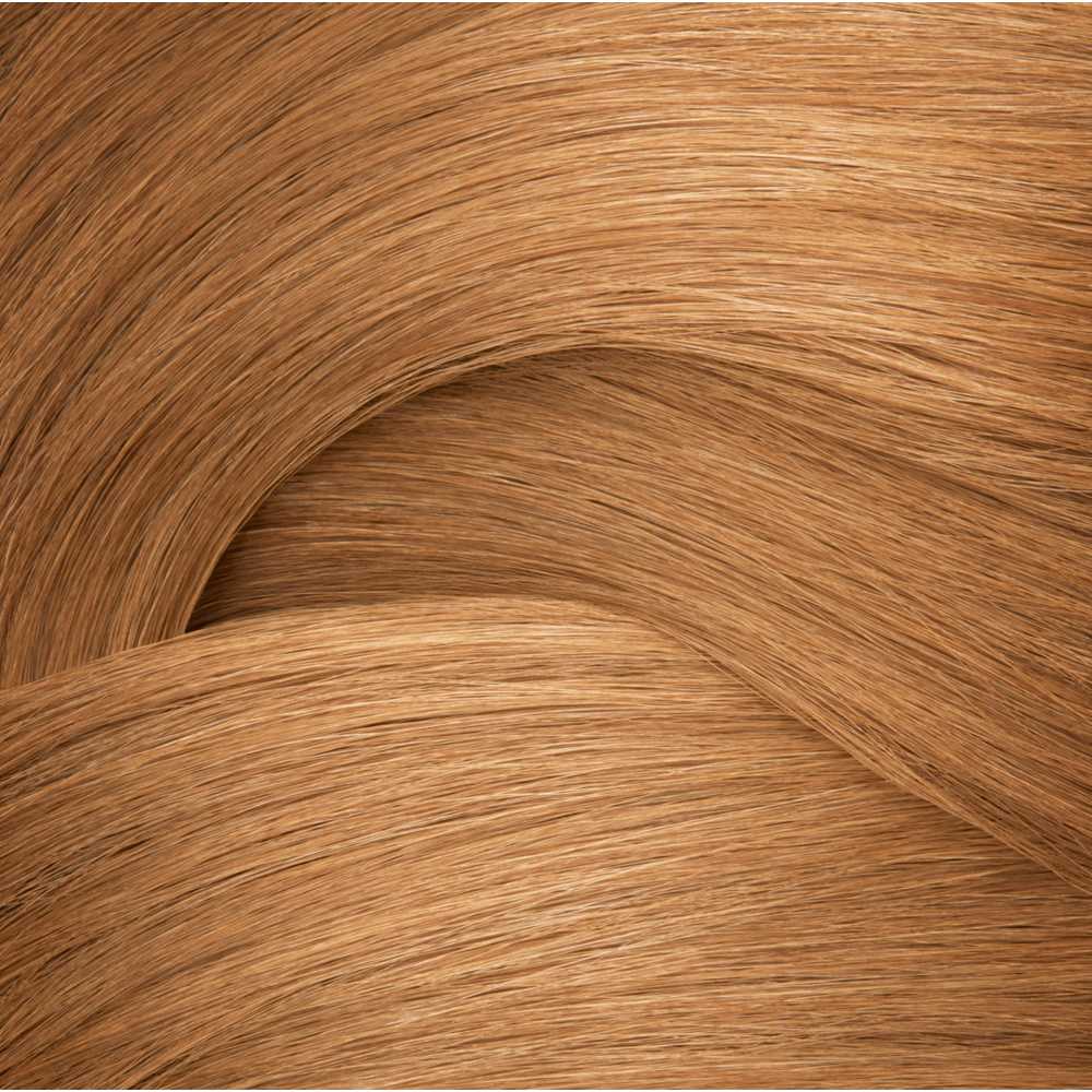 Shades EQ Bonder Inside 8HC